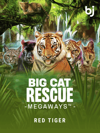 Big Cat Rescue Megaways screenshot
